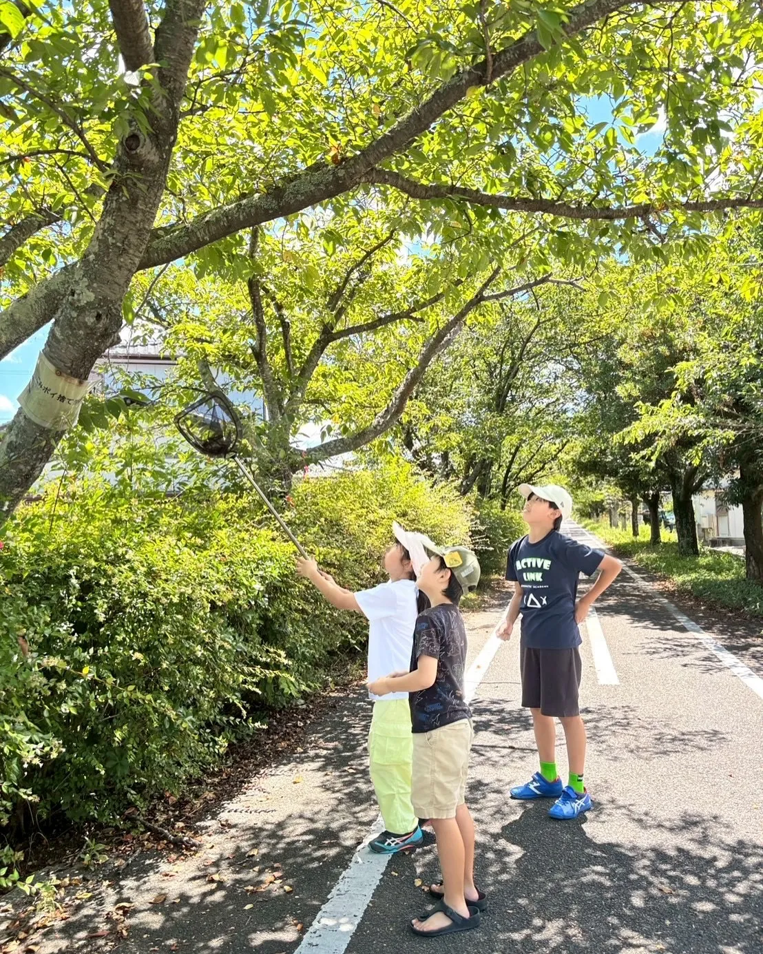 ☀️【子どもに人気の習い事】学童代わりにもなる！夏休みの体操...