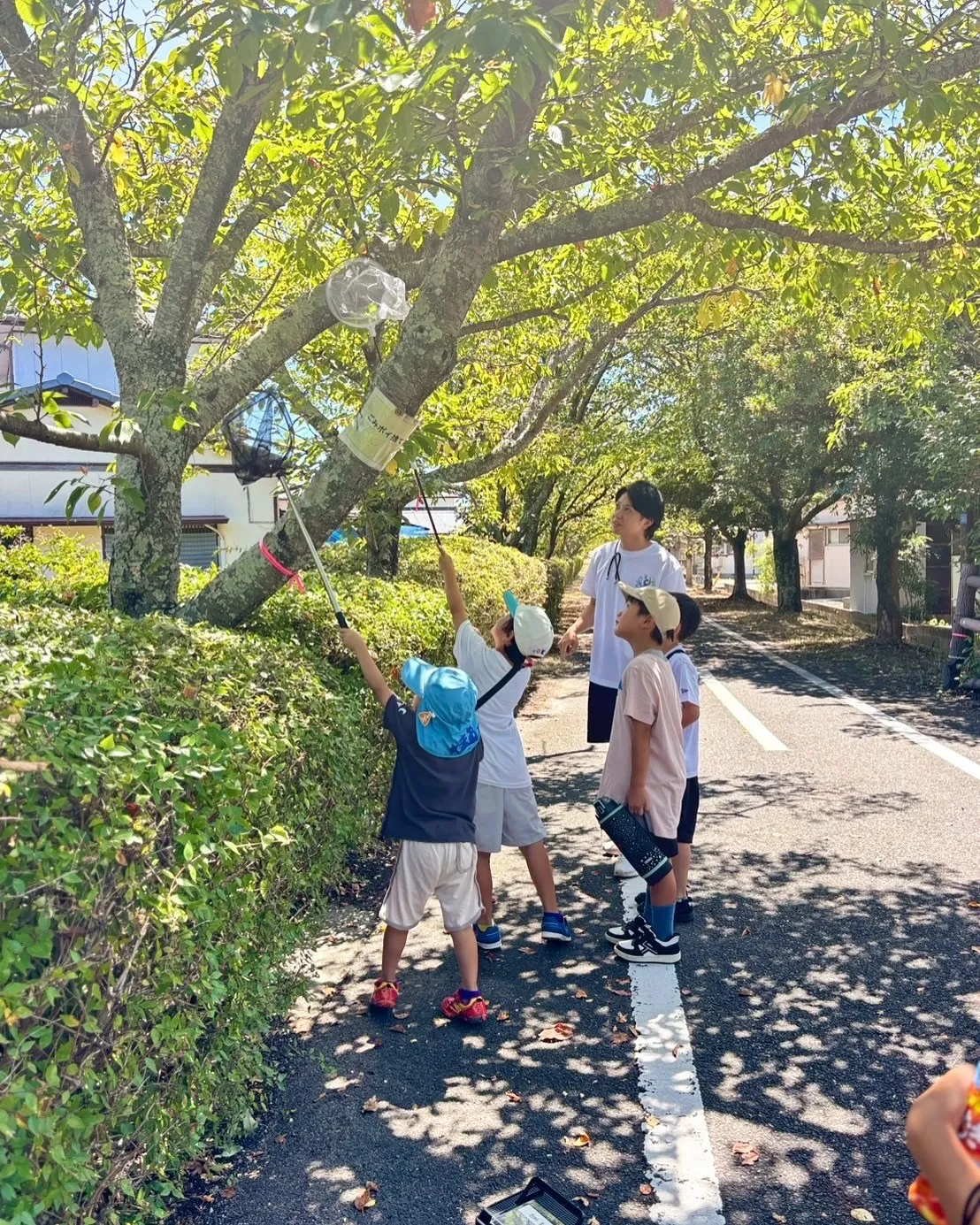 ☀️【アクティブサマー教室｜8日目レポート】