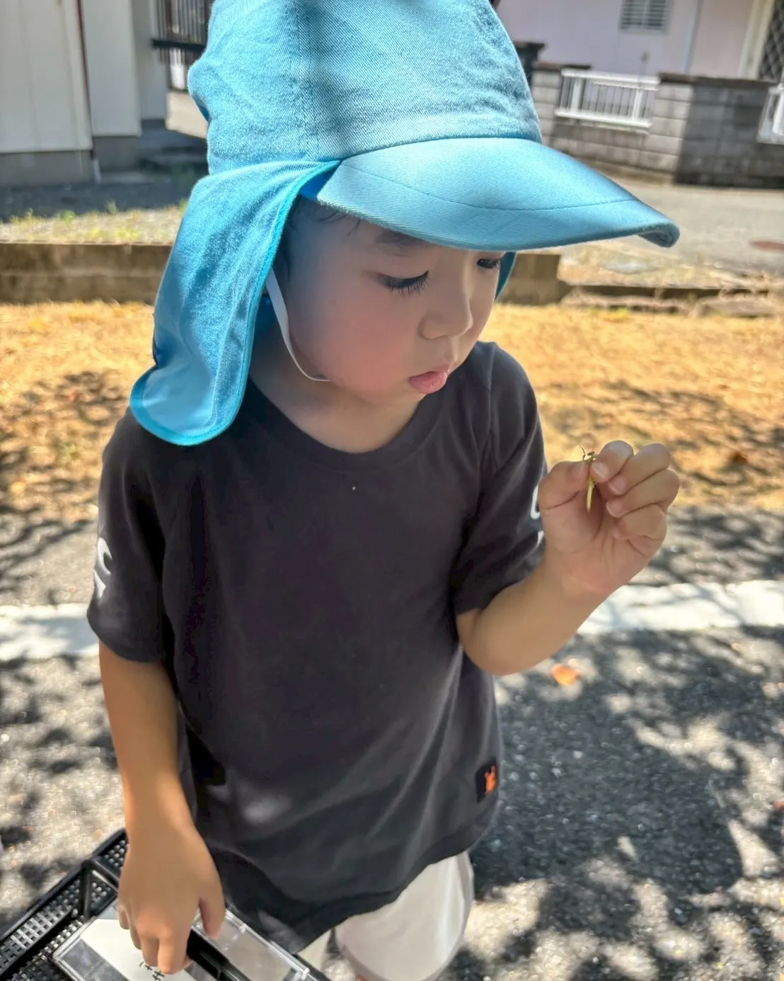 ☀️【アクティブサマー教室｜8日目レポート】