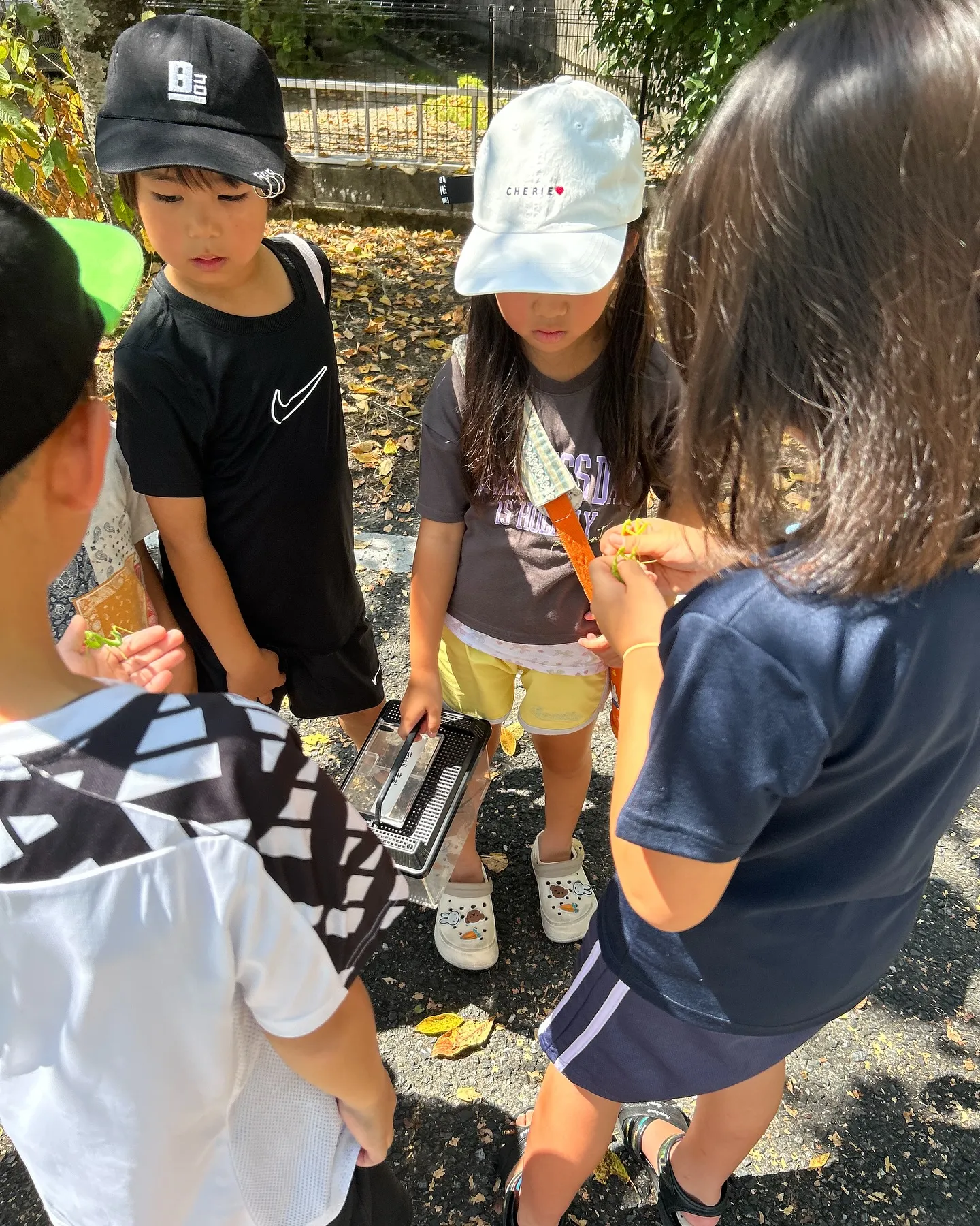 【佐賀で子どもに人気の夏休み習い事】
