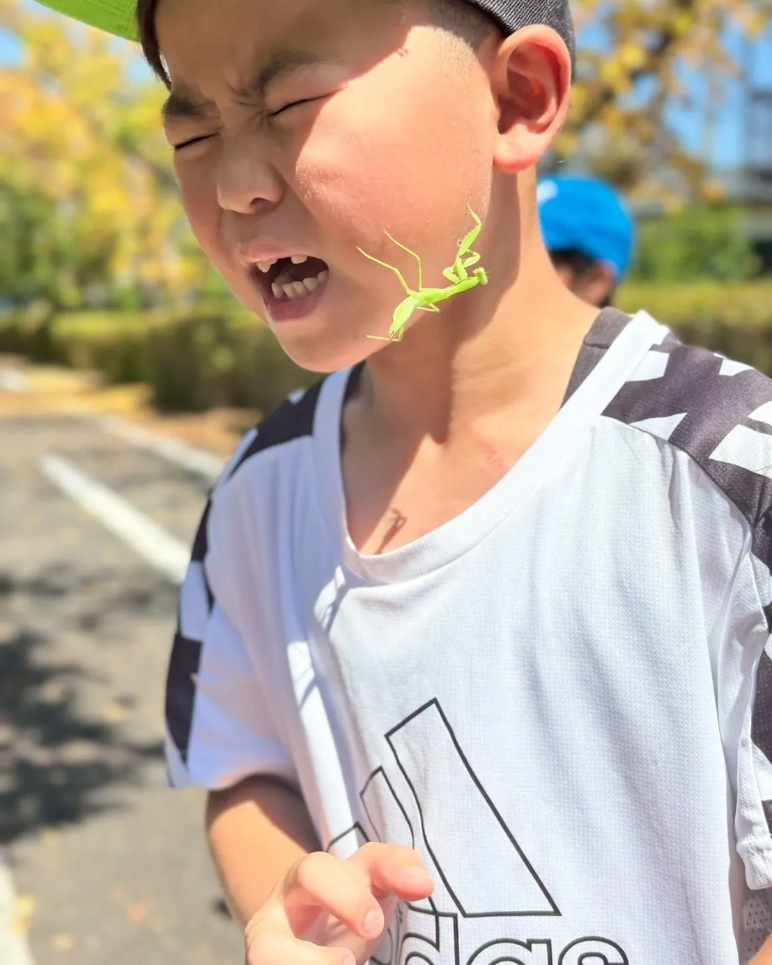 【佐賀で子どもに人気の夏休み習い事】