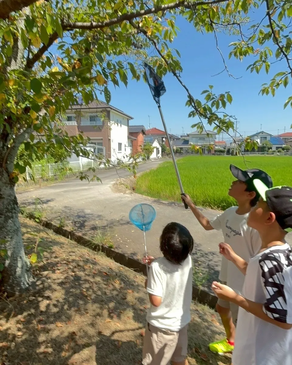 【佐賀で子どもに人気の夏休み習い事】