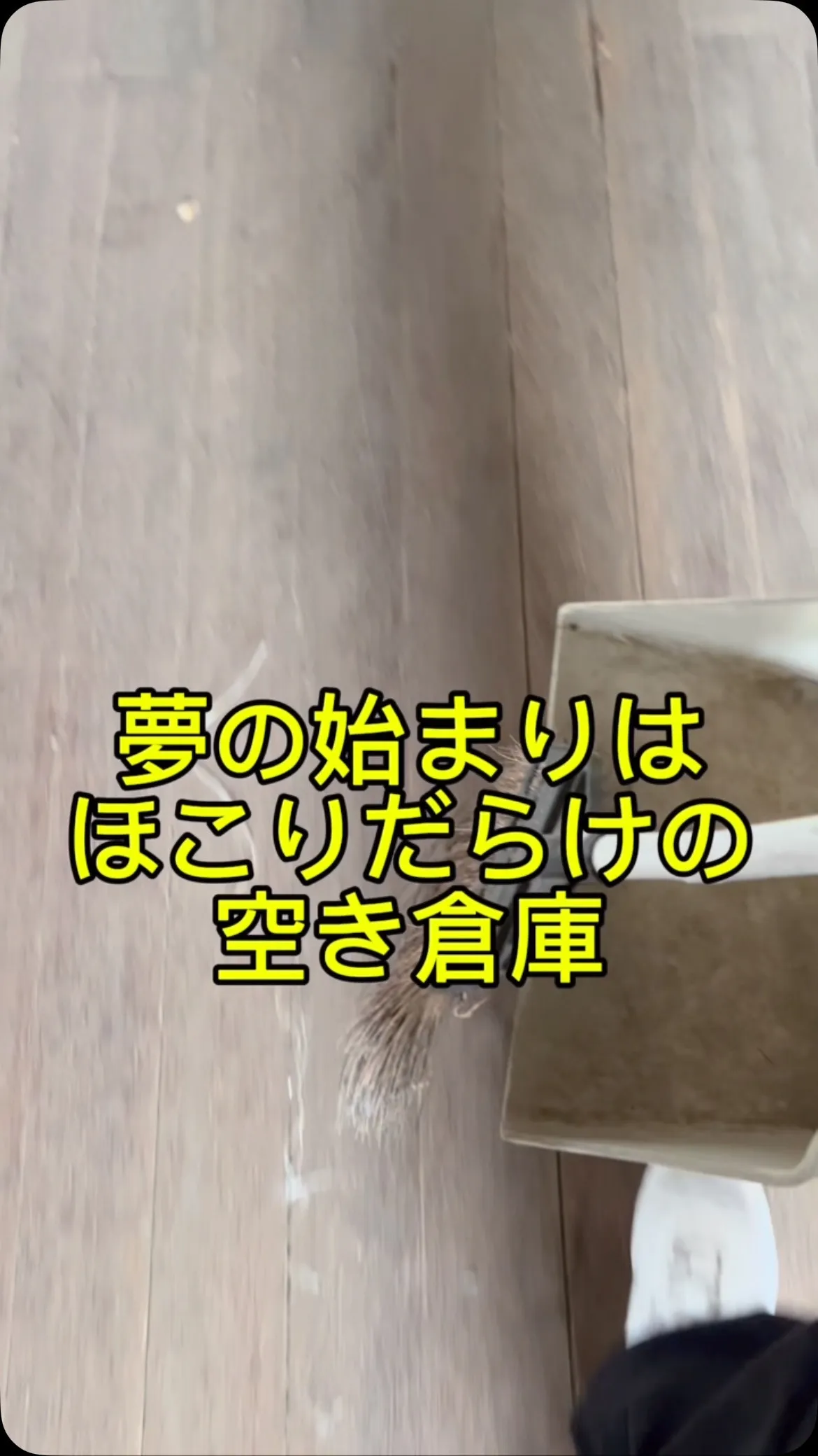 📣【アクティブリンク OPEN半年のご報告】✨